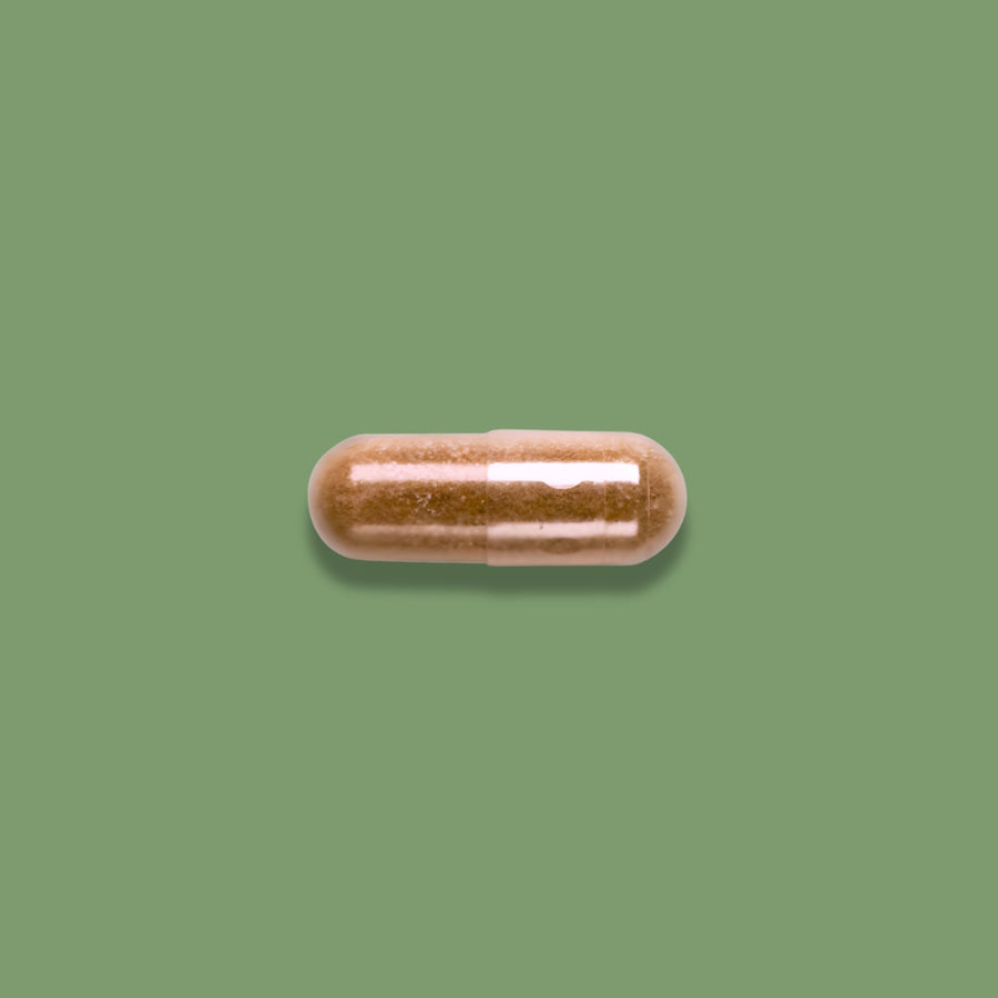 Maca (Roja) 400 mg | Extracto Concentrado | 30 cápsulas