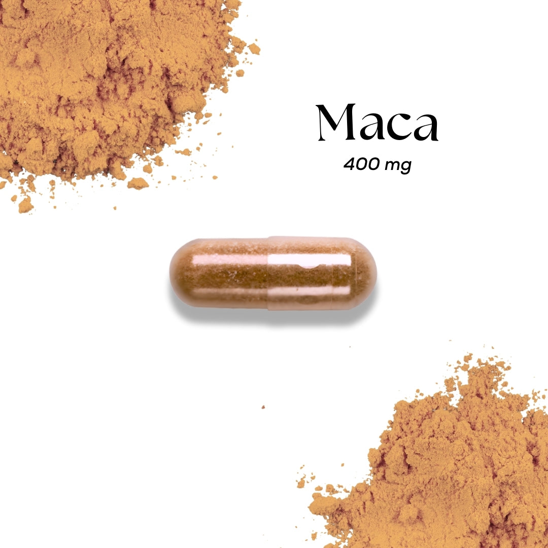 Maca (Roja) 400 mg | Extracto Concentrado | 30 cápsulas