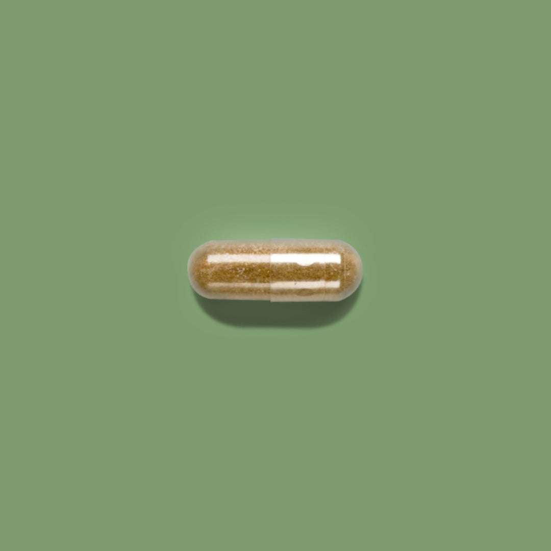 Maca 30 cápsulas 400mg (Maca Roja)